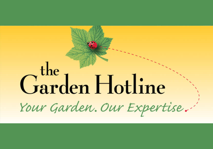 Garden Hotline logo. In Harmony Sustainable Landscapes