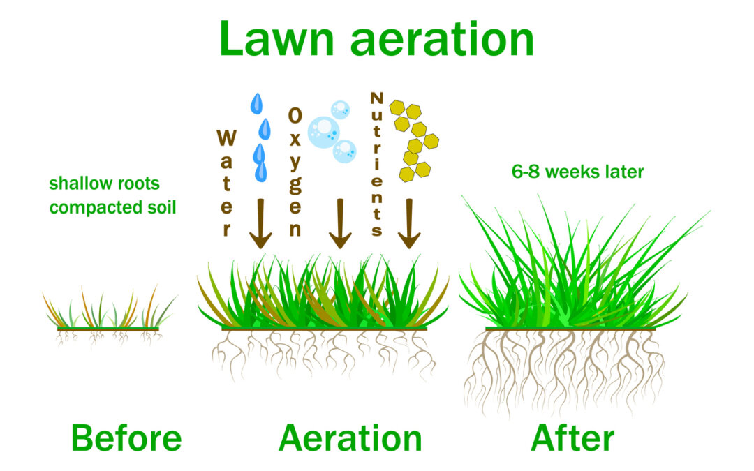 Aerate now to improve lawn health