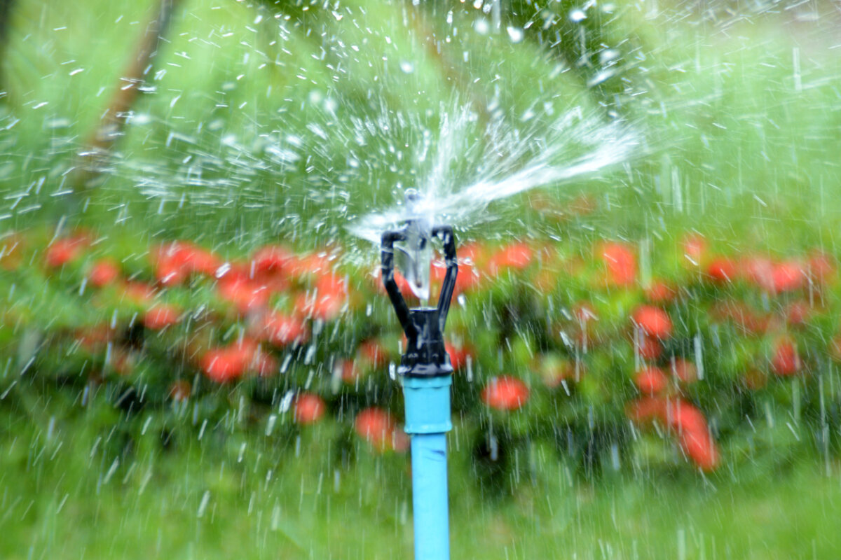 Inspect and care for your irrigation system. In Harmony Sustainable Landscapes