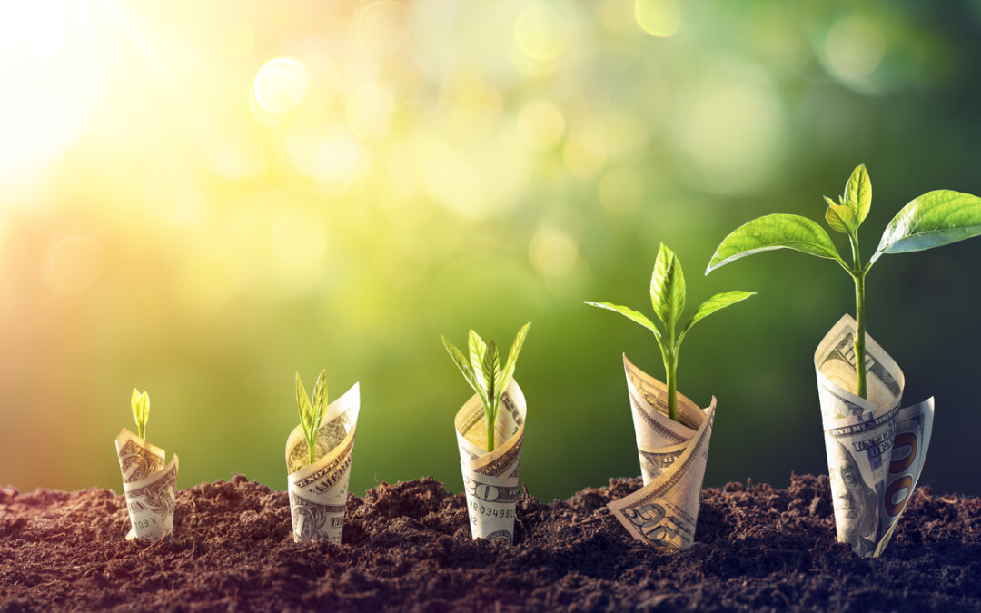 Myth 3: Sustainable gardening costs too much