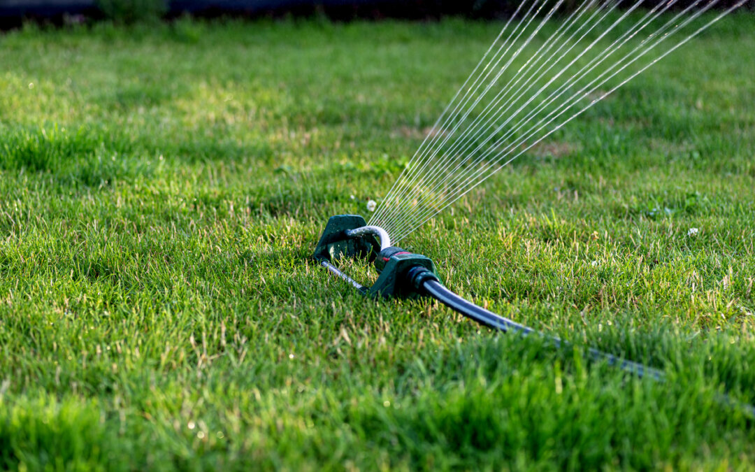 Hot weather lawn reminder
