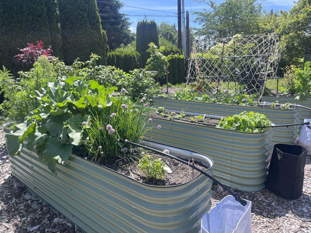 Another landscape design trend is adding edible landscapes, from vegetable gardens to fruit trees and berry bushes. In Harmony Sustainable Landscapes