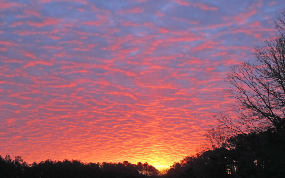 Ways to celebrate the winter solstice