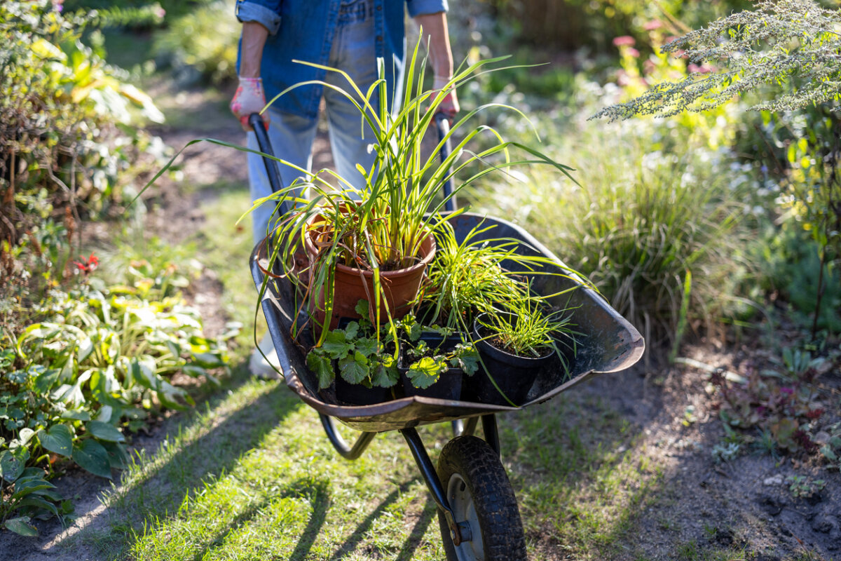 Gardening offers many benefits for your physical and mental health, and it can also help the planet. In Harmony Sustainable Landscapes