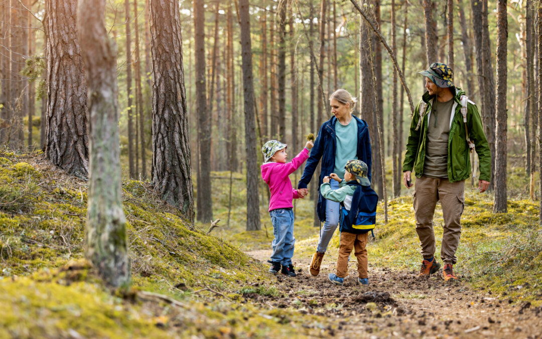 How to celebrate Earth Day 2026