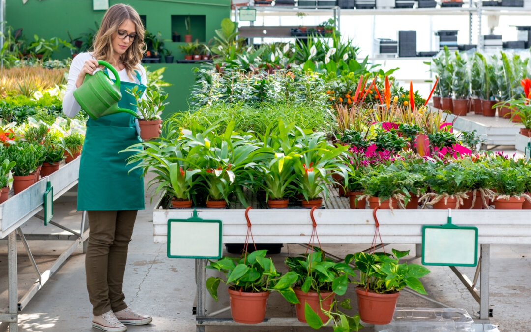 Support your local nurseries!