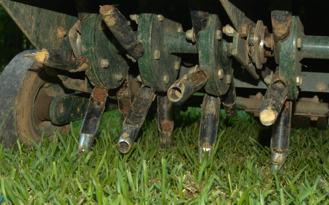 It’s time to aerate and overseed your lawn