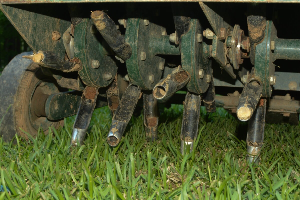 Spring aeration and overseeding will help build your lawn's health before the stress of summer heat. In Harmony Sustainable Landscapes
