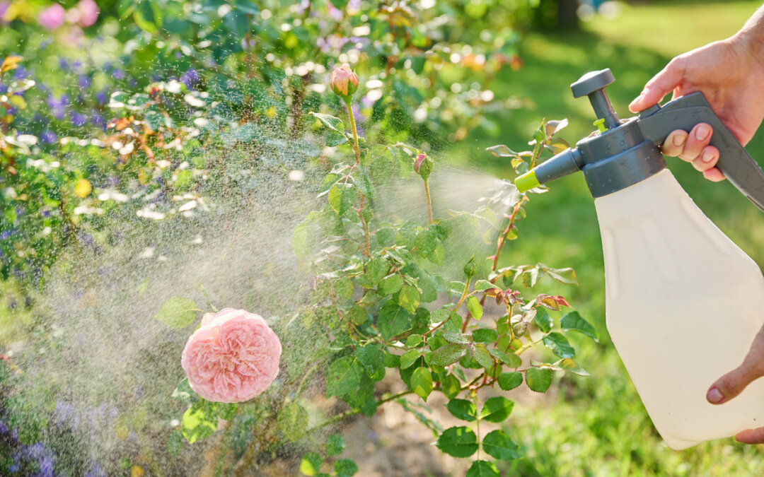 Pesticides and human health risks