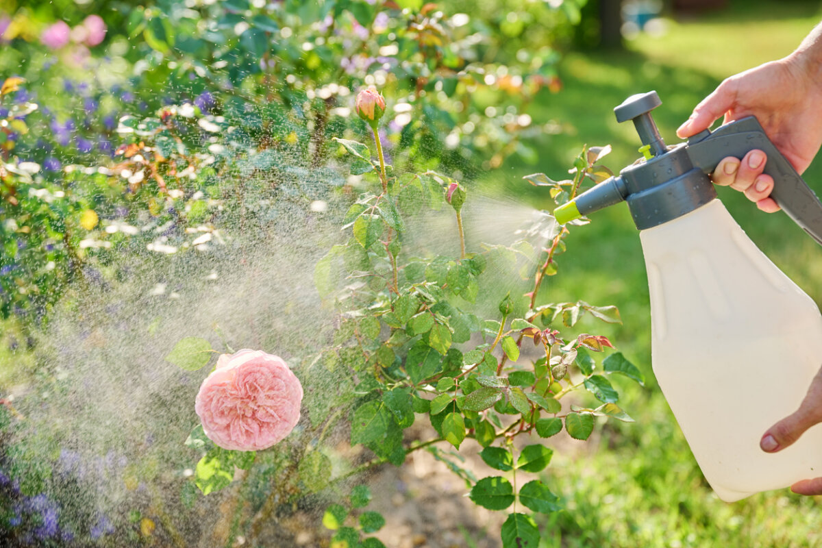 Pesticide risks include short- and long-term health effects, such as increased cancer risk and disruption to critical systems in the body. In Harmony Sustainable Landscapes