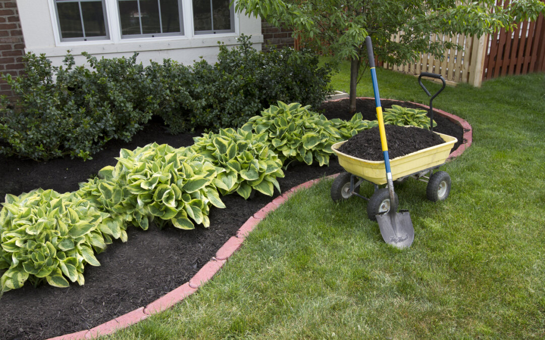 Benefits of mulch