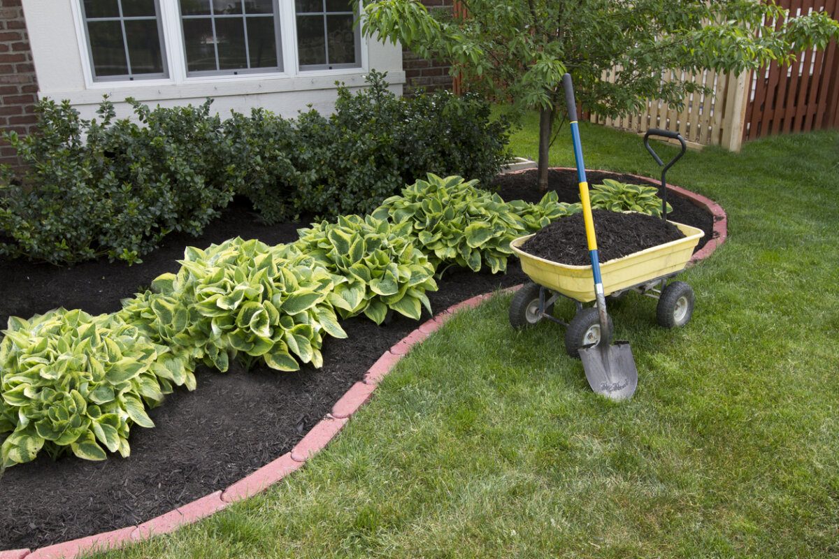 Mulch has many benefits for your landscape. Contact us to apply mulch in your yard. In Harmony Sustainable Landscapes